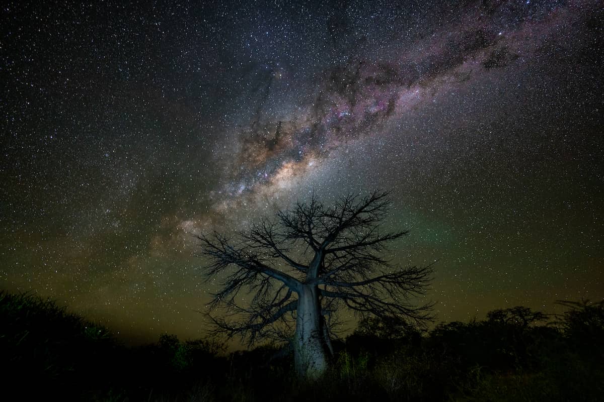 Baobab sous la voie lactée